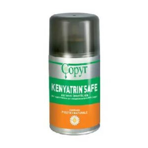 INSETTICIDA COPYR KENYASAFE AEREOSOL