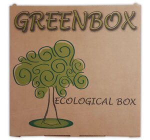 SCATOLA PIZZA F.TO 33X33X3 CM ECO BOX AVANA
